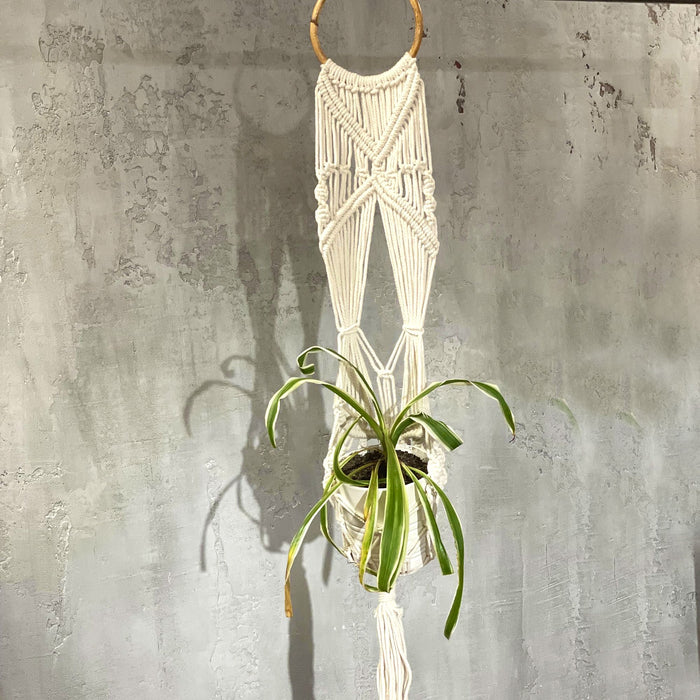 Langer Makramee-Blumenampel - Rattan-Ring