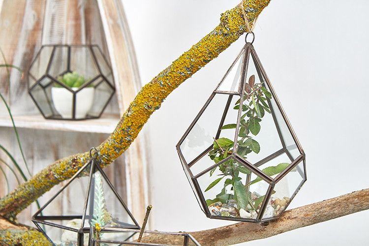 Glass & Brass Terrarium - Large Pentagon