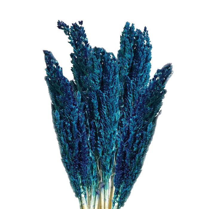 Cantal Grashaufen – Blau