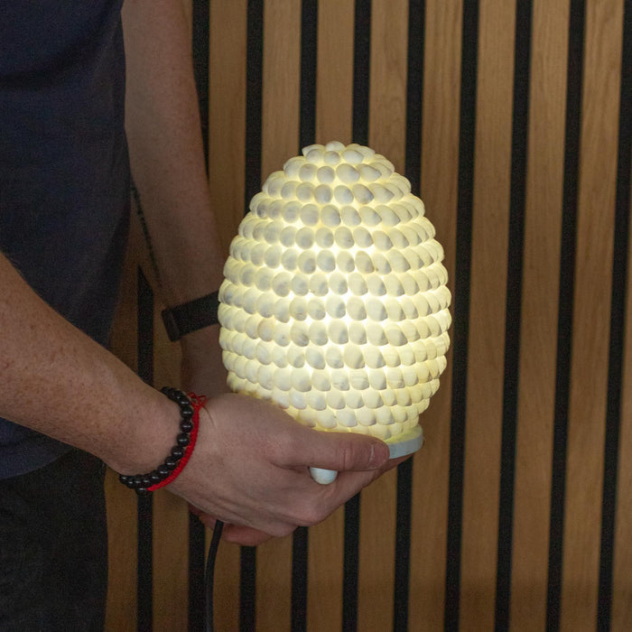 Boho Buting Shell Lamp - Oval, 15cm