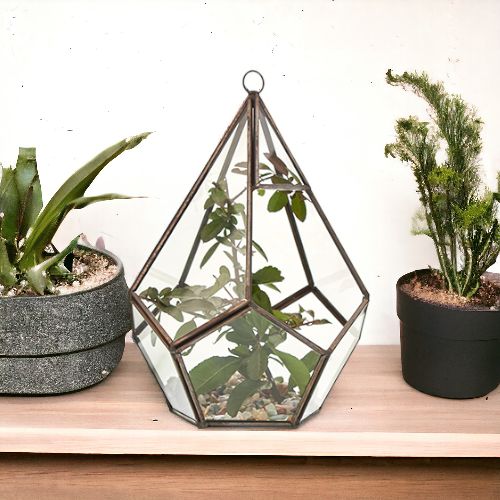 Glass & Brass Terrarium - Large Pentagon