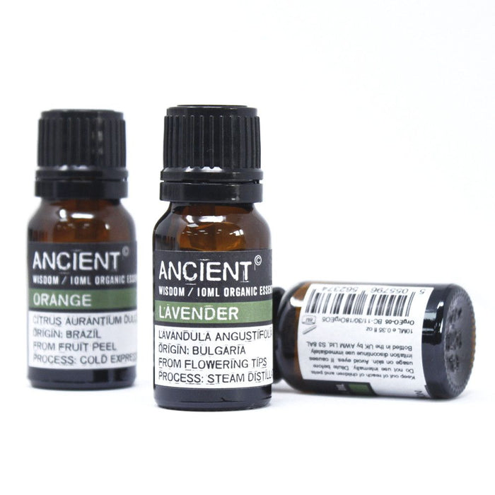 Eukalyptus Bio Ätherisches Öl - 10ml