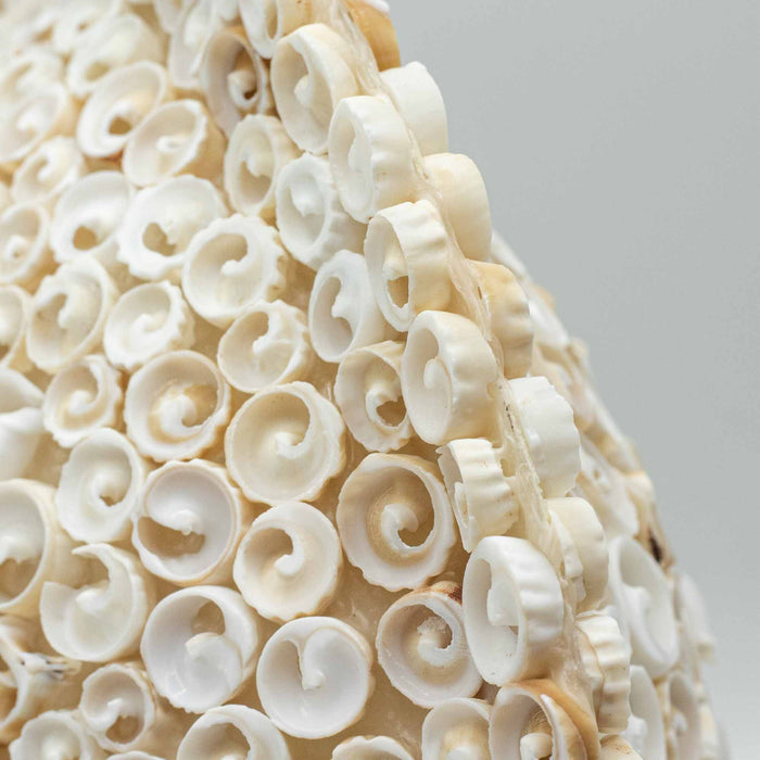 Large Boho Cut Art Sea Shell Lamp - Round, 30cm