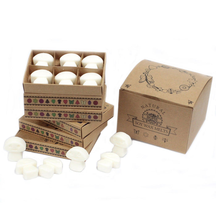 Duftwachs-Schmelzstücke – Weißer Moschus (6er-Packung)