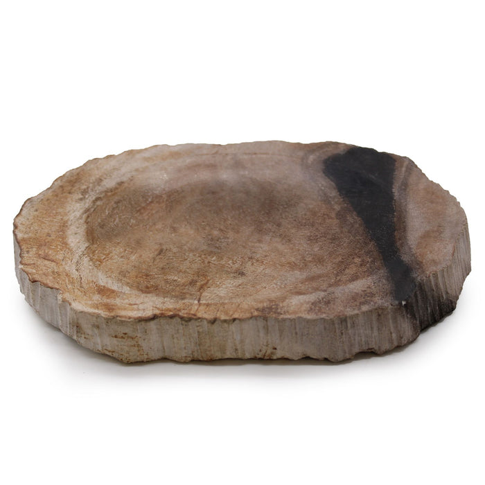 Seifenschale aus Stein – Natur, versteinertes Holz