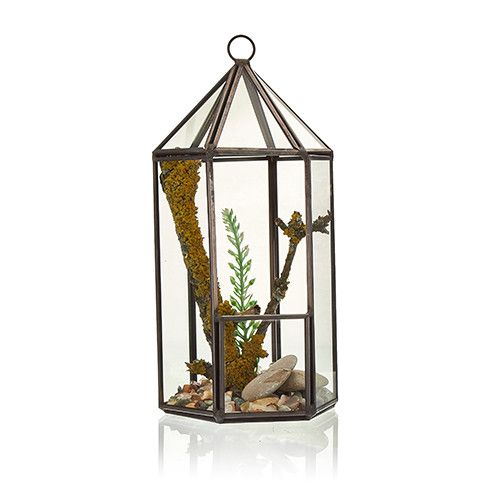 Terrarium en verre et laiton - Forme lanterne