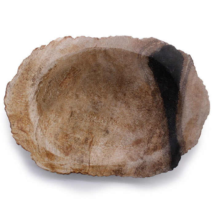 Seifenschale aus Stein – Natur, versteinertes Holz