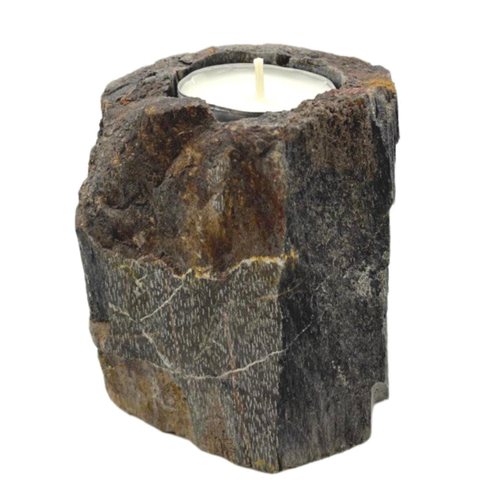 Teelichthalter aus versteinertem Holz – Einzeln, niedrig