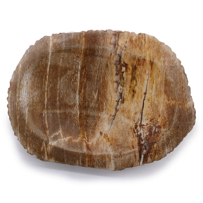 Seifenschale Stein – Natürliches, braunes versteinertes Holz