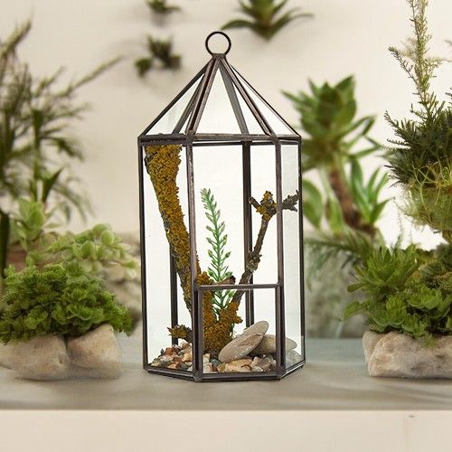 Terrarium en verre et laiton - Forme lanterne