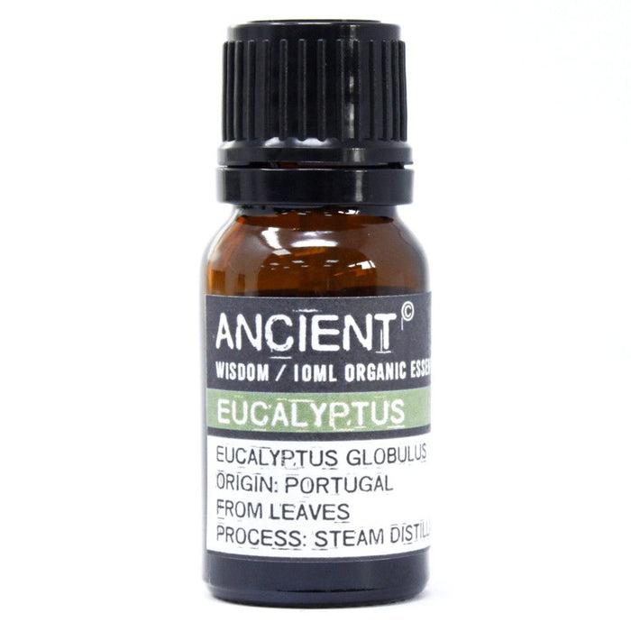 Eukalyptus Bio Ätherisches Öl - 10ml