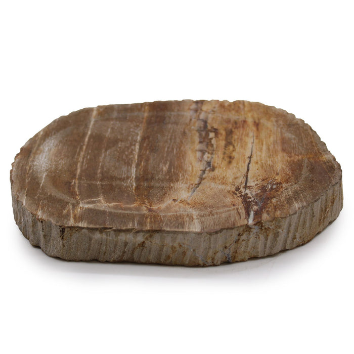 Seifenschale Stein – Natürliches, braunes versteinertes Holz