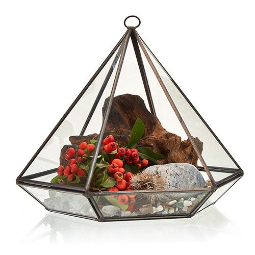 Glas- & Messing-Terrarium – Großer Diamant
