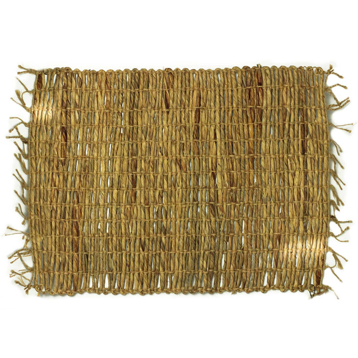 Wasserhyazinthen-Tischset – Robusta