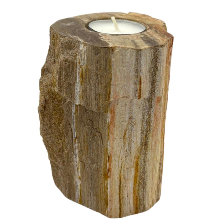 Teelichthalter aus fossilem Holz – einzeln, hoch