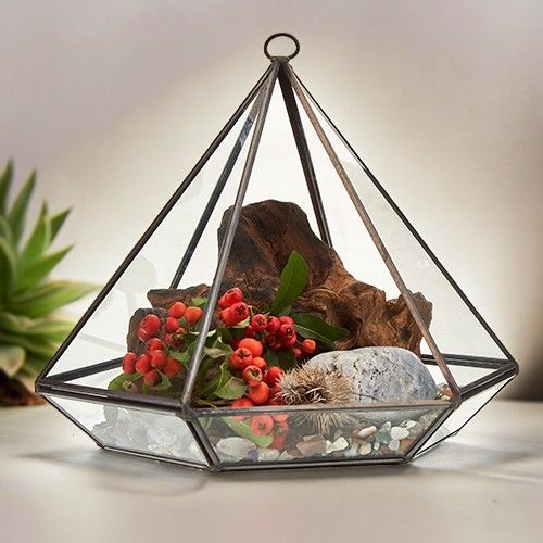 Glas- & Messing-Terrarium – Großer Diamant
