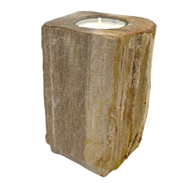Teelichthalter aus fossilem Holz – einzeln, hoch