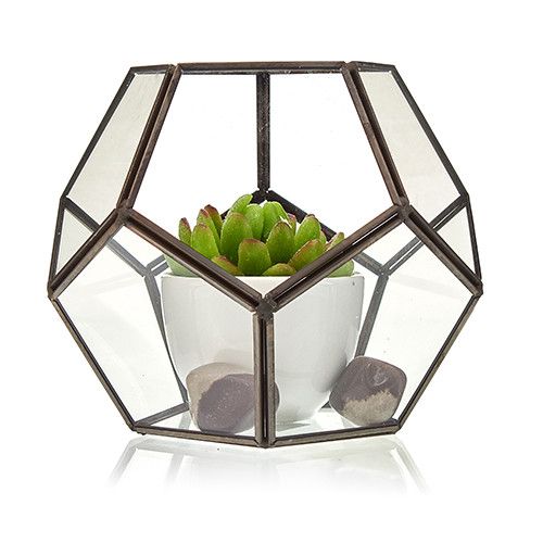 Glass & Brass Terrarium - Large Octagon