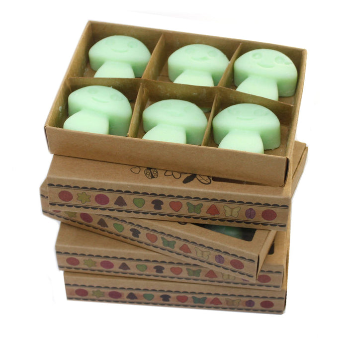 Wachsmelts – Lakritz (6er-Pack)
