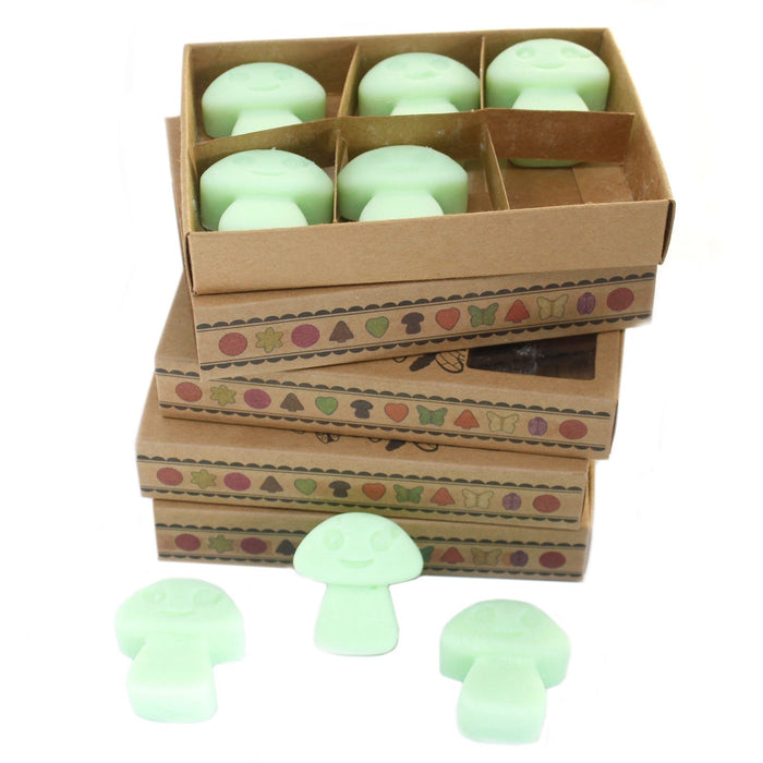 Wachsmelts – Lakritz (6er-Pack)