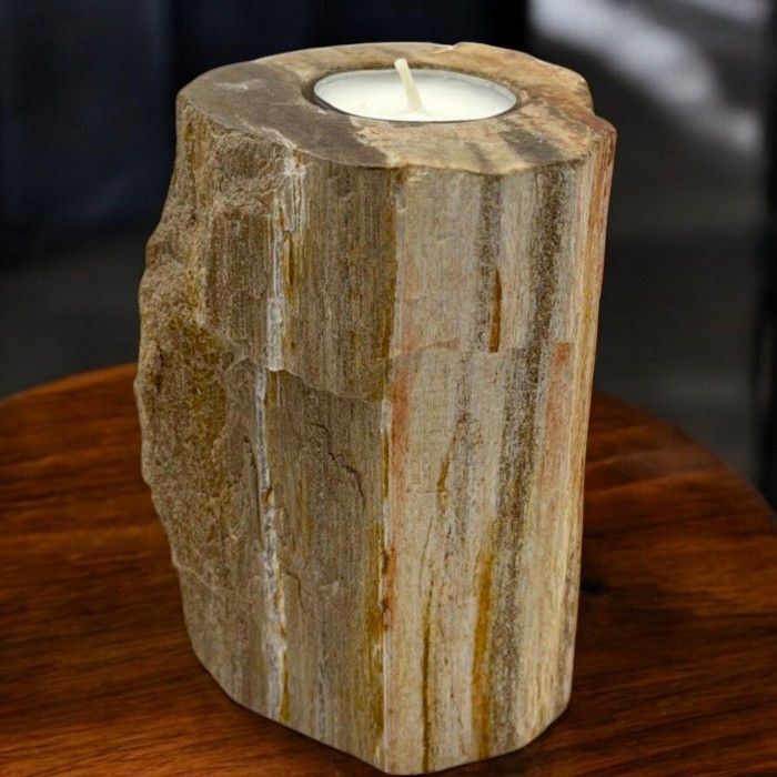 Teelichthalter aus fossilem Holz – einzeln, hoch