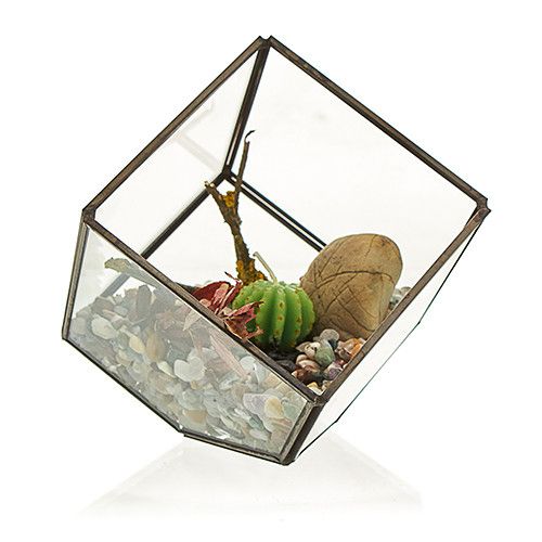 Terrarium aus Glas und Messing – geneigter Würfel