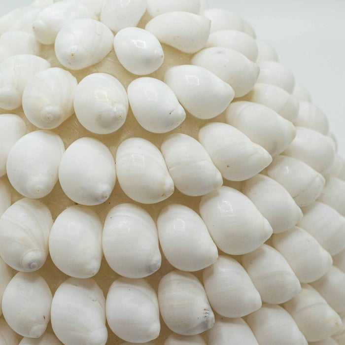 Boho Buting Shell Lamp - Oval, 15cm