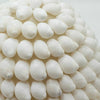 A boho buting shell lamp with smooth glossy white cowrie shells arranged in an oval 15cm cluster