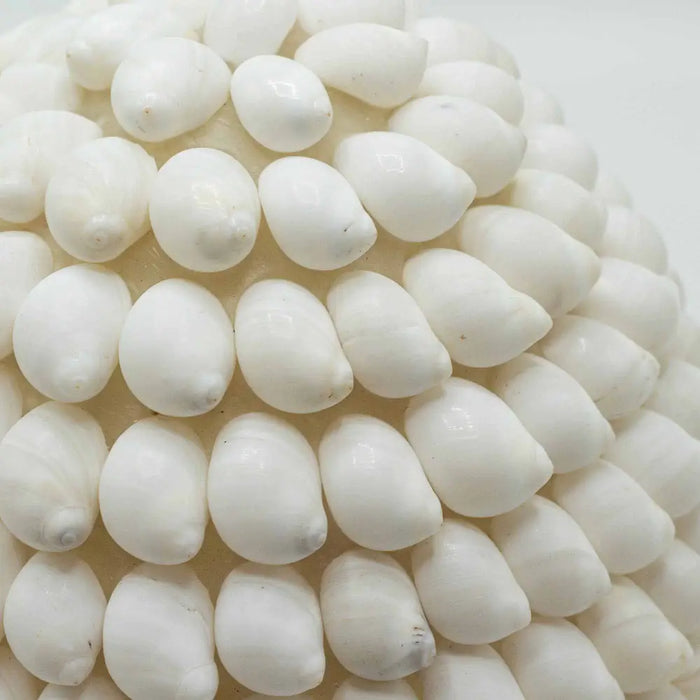 A boho buting shell lamp with smooth glossy white cowrie shells arranged in an oval 15cm cluster