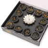 Silver lotus incense burner surrounded by twelve black resin cups filled with colorful incense resin stones
