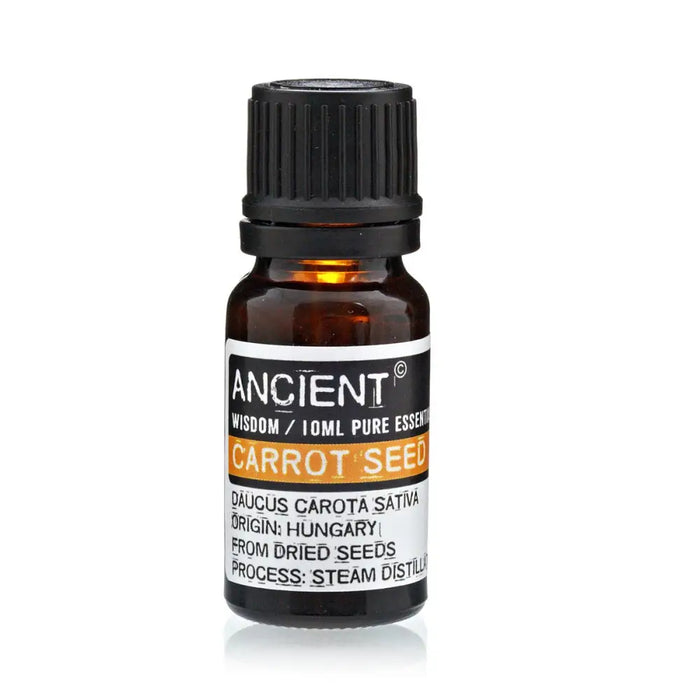 A small amber glass bottle of ancient wisdom carrot seed essential oil with a black ribbed cap for viral infections