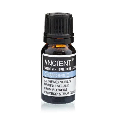 A small amber glass bottle of ancient wisdom roman chamomile essential oil with a black cap and white label 10ml