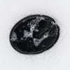 Black oval-shaped charcoal soap with glossy surface and white foam bubbles featuring activated charcoal and geranium scent