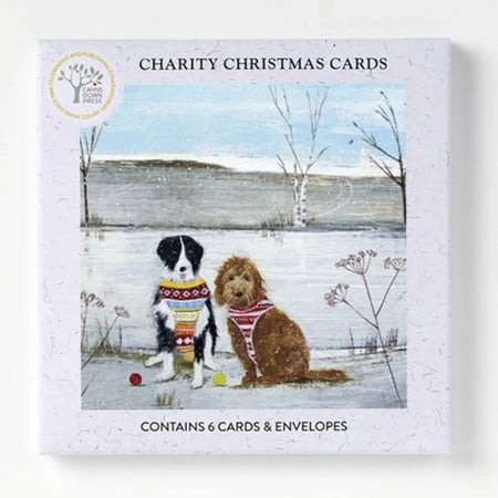 A charity christmas card pack by hannah cole featuring two dogs in festive sweaters on a snowy background