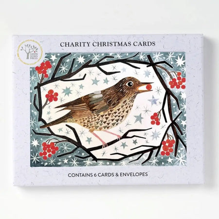 A christmas card pack featuring a brown song thrush on branches with red berries in a snowy starry background