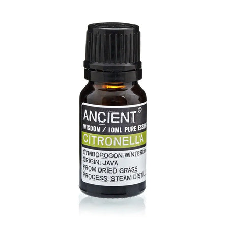 A small dark amber glass bottle of ancient wisdom citronella essential oil with black cap used as an insect repellent