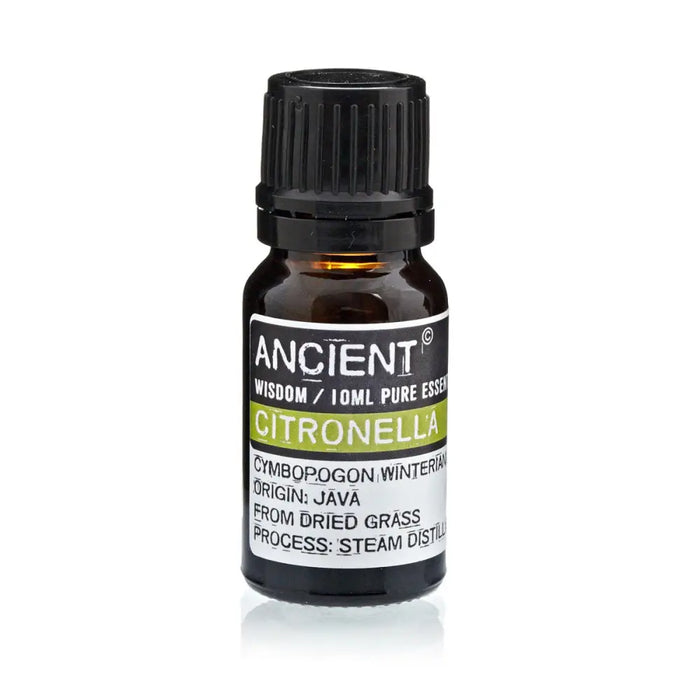 A small dark amber glass bottle of ancient wisdom citronella essential oil with black cap used as an insect repellent
