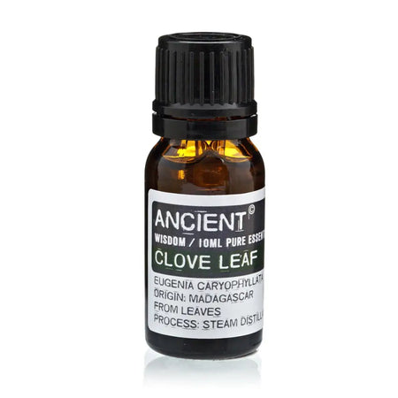 A small amber glass bottle with black cap of clove leaf essential oil by ancient made from eugenia caryophyllata steam distillation