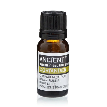 A small amber glass bottle with black cap labeled ancient wisdom coriander essential oil 10ml used for lose weight means hydrolysis