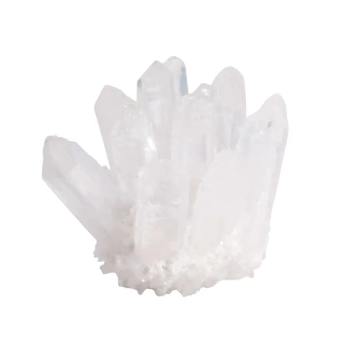 A cluster of clear quartz crystals with translucent white pointed tips and a rough textured base