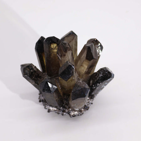 A quartz cluster of dark smoky ghost quartz crystals with translucent faceted points on a rough mineral base
