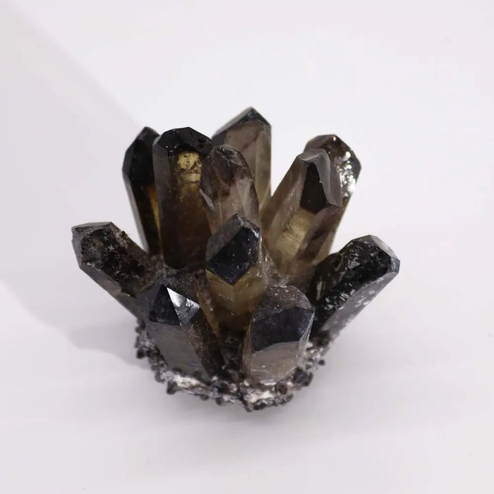 A quartz cluster of dark smoky ghost quartz crystals with translucent faceted points on a rough mineral base