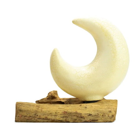 Cream-colored ceramic half-moon shade with crackled glaze on rustic driftwood base featuring fibreglass half-moon style