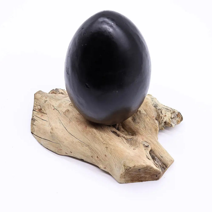 A smooth glossy black crackle lava egg shade on a natural driftwood base for the DriftGlow lamp in grey crackle