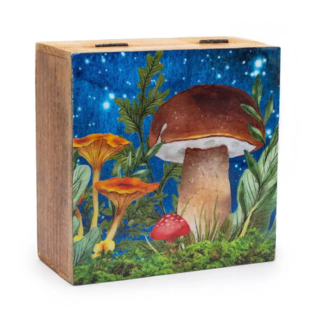 Wooden keepsake box made of mango wood with enamel coated teal toadstools under a starry night sky painted design