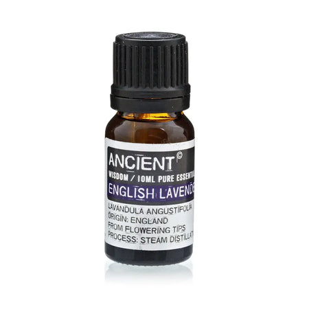 A small amber glass bottle of english lavender essential oil with black cap and white label showing ancient wisdom brand