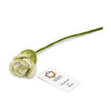 A delicately crafted white roses felt flower with green stem handmade from white felt in nepal