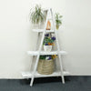 White distressed albesia wood folding a frame ladder shelf with four tiers holding plants and decor in whitewash finish