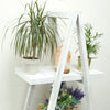 Whitewash folding albesia wood a frame ladder shelf with two tiers holding potted plants and a salt lamp