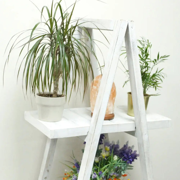 Whitewash folding albesia wood a frame ladder shelf with two tiers holding potted plants and a salt lamp